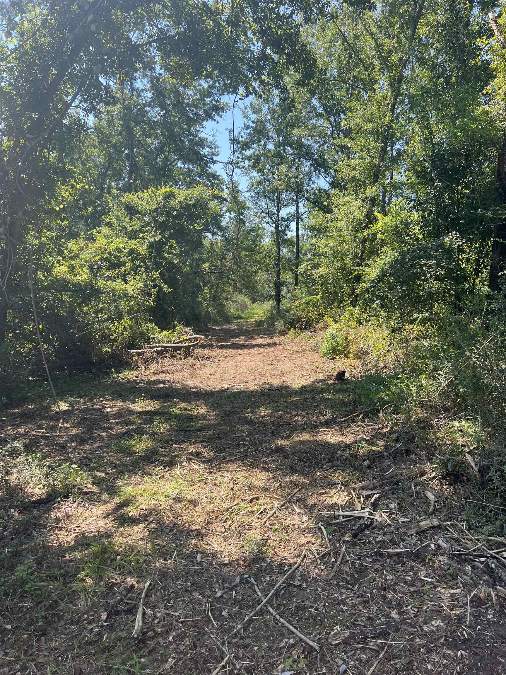 0 Cactus Court Elberta, AL 36530 - Photo 17 of 24
