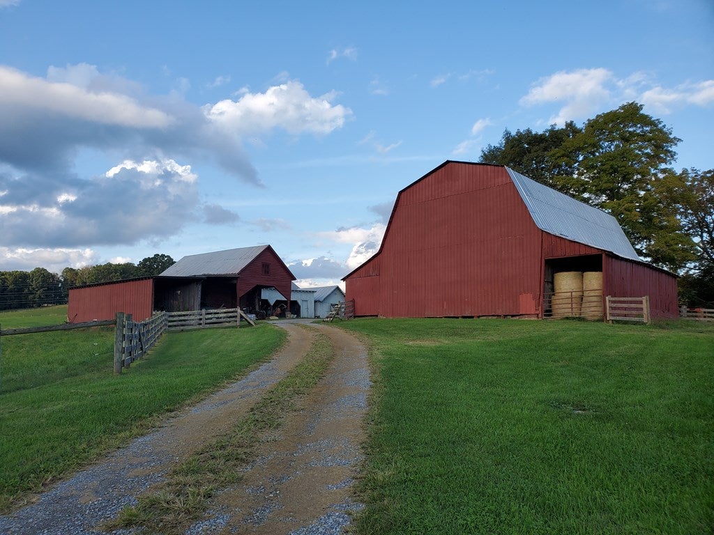 1447 Old Ebenezer Road Marion, VA 24354 - Photo 56 of 73 Gallery Image 56
