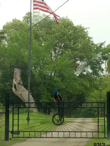 a view of ocean from a building