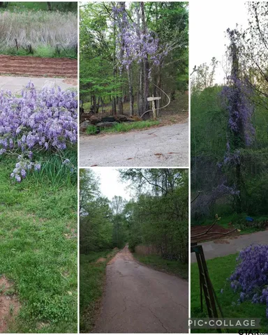 a view of backyard with green space