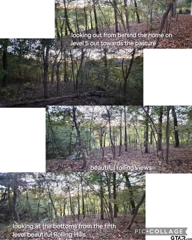 a view of backyard with green space