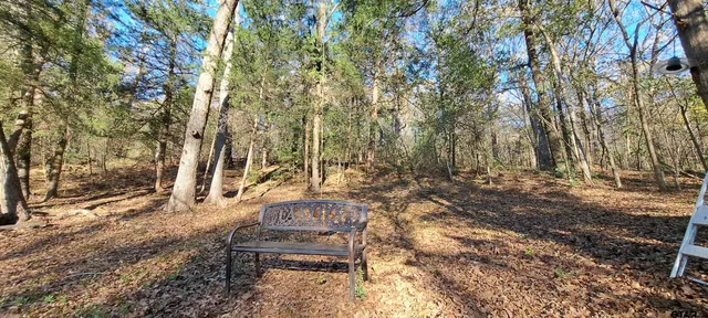 a view of outdoor space with deck and tree