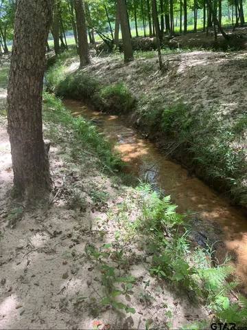 $1,495,000 | 10774 County Road 494, Tyler, TX 75706