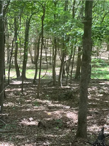 $1,495,000 | 10774 County Road 494, Tyler, TX 75706