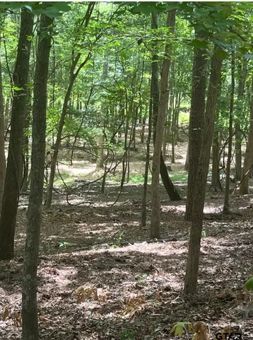 $1,495,000 | 10774 County Road 494, Tyler, TX 75706