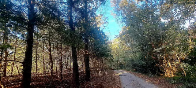 $1,495,000 | 10774 County Road 494, Tyler, TX 75706