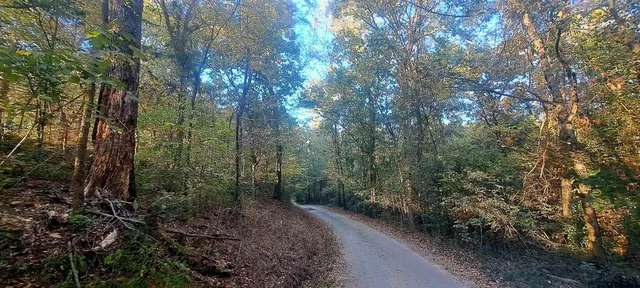 $1,495,000 | 10774 County Road 494, Tyler, TX 75706