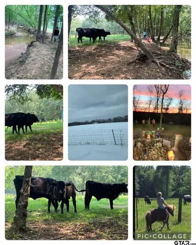 a view of a large building with a big yard