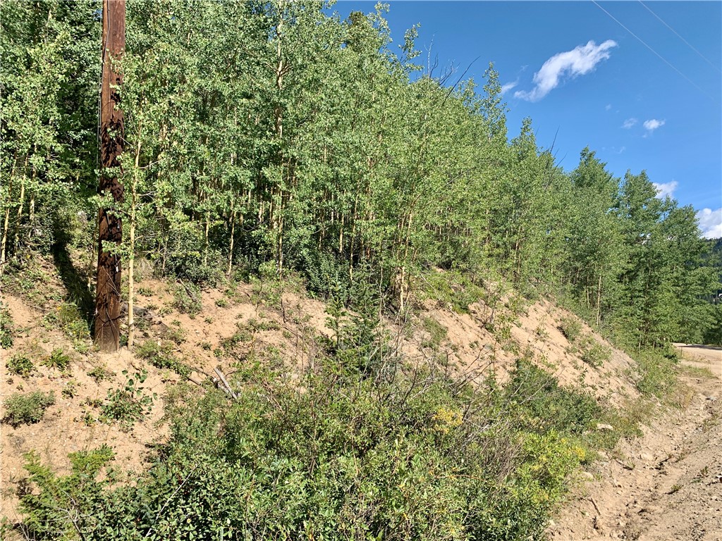 725 Roberts Road Alma, CO 80420 - Photo 22 of 24 Gallery Image 22
