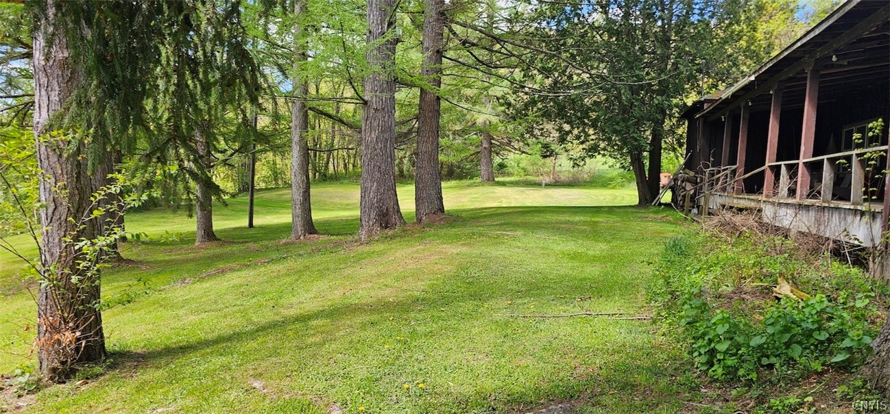 1720 County Route 12 De Ruyter, NY 13052 - Photo 4 of 49