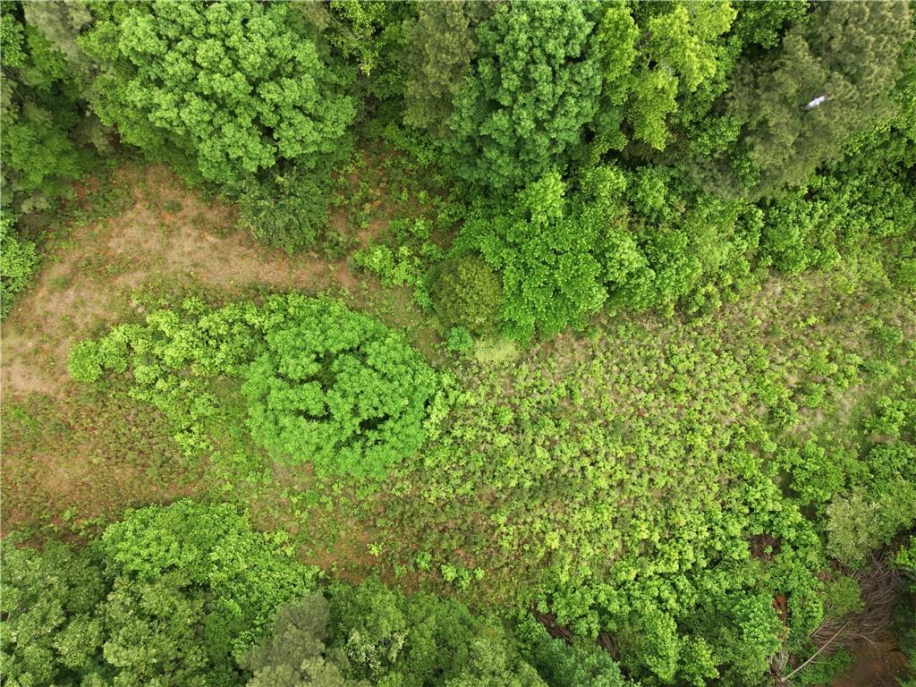 301 Singley Drive Locust Grove, GA 30248 - Photo 12 of 12 a view of a lush green forest