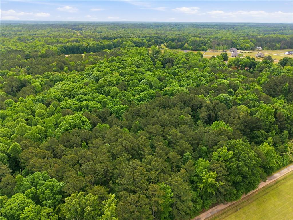 301 Singley Drive Locust Grove, GA 30248 - Photo 3 of 12 a view of a field with an ocean view