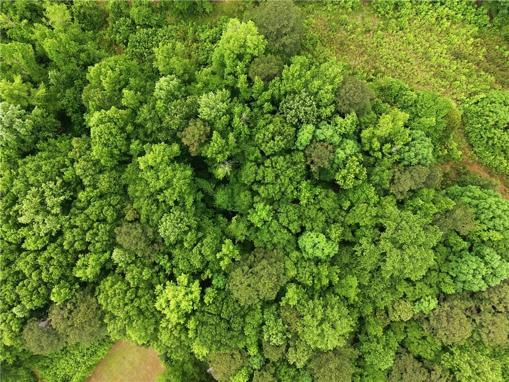 301 Singley Drive Locust Grove, GA 30248 - Photo 5 of 12 a view of a lush green forest