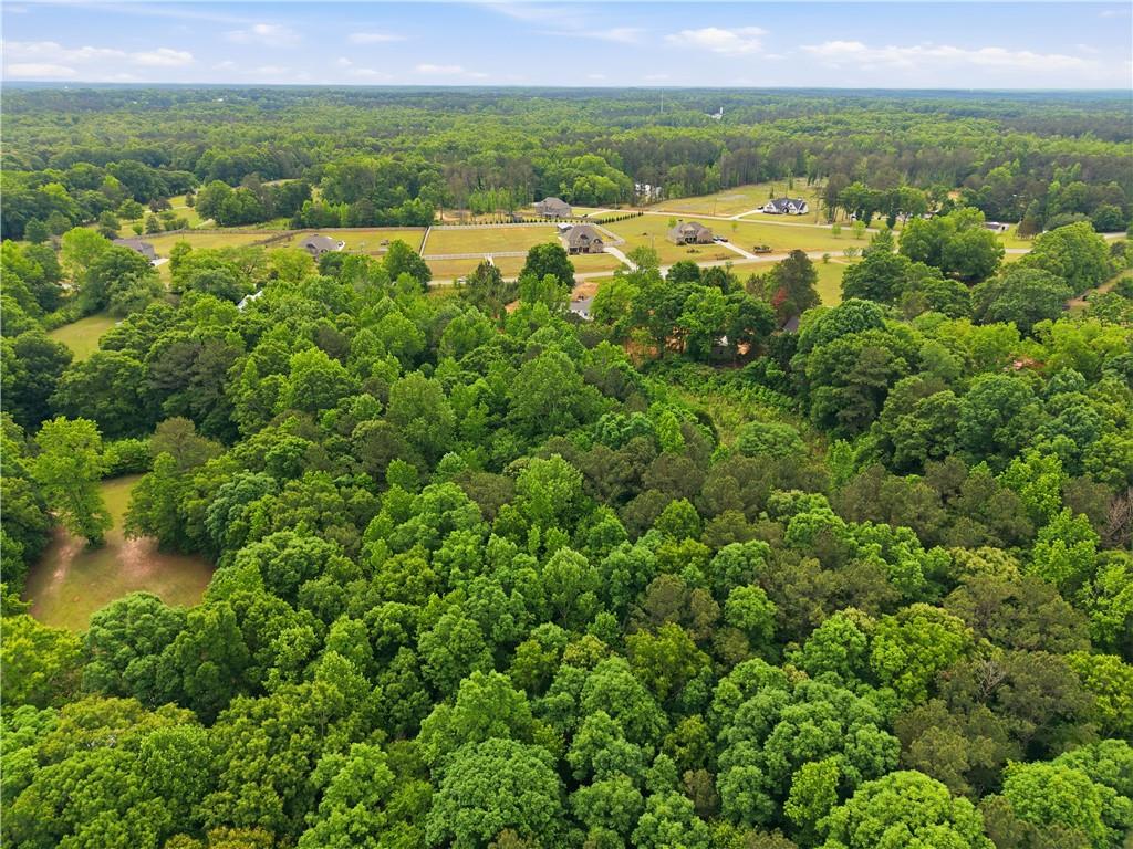 301 Singley Drive Locust Grove, GA 30248 - Photo 6 of 12 a view of lake with mountain
