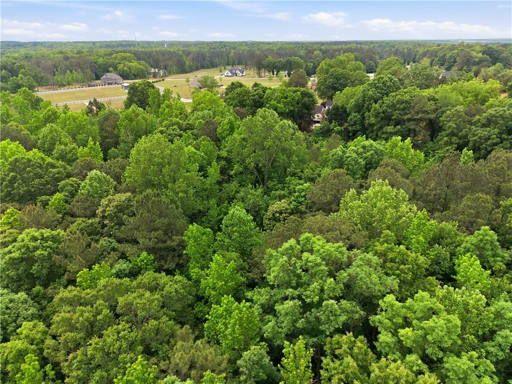 301 Singley Drive Locust Grove, GA 30248 - Photo 8 of 12 an aerial view of a houses with a yard