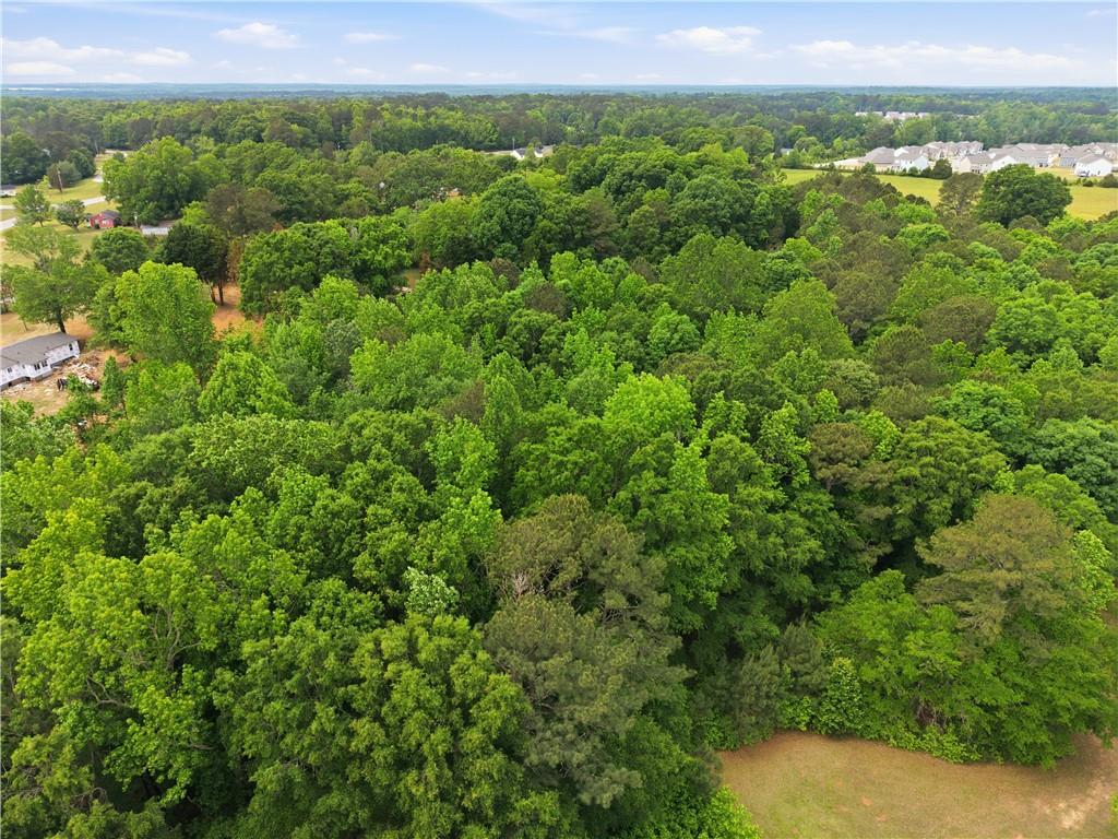 301 Singley Drive Locust Grove, GA 30248 - Photo 9 of 12 a view of a green field with lots of bushes