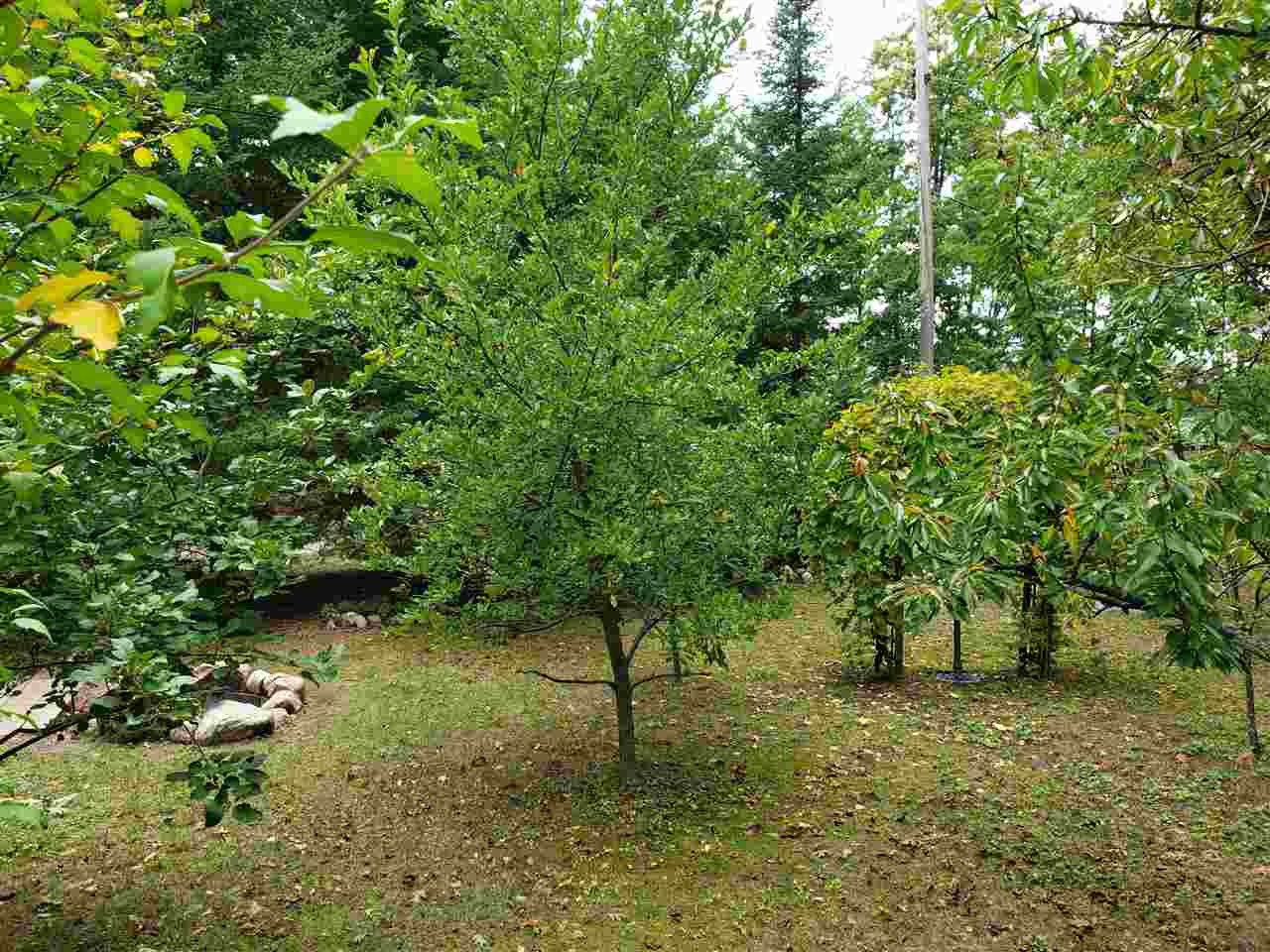 4120 Oak Hill Road Harrison, MI 48625 - Photo 40 of 69