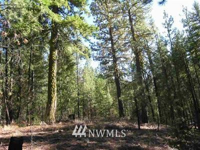 55 Quaking Aspen Road Winthrop, WA 98862 - Photo 1 of 1