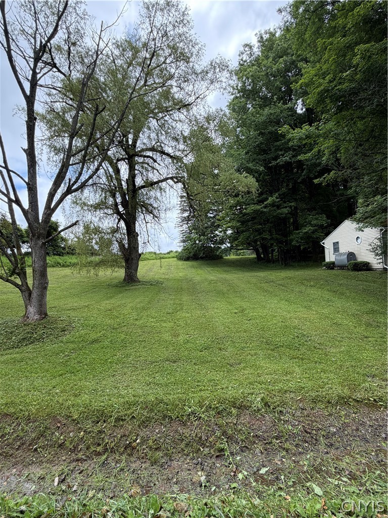 6768 Forbes Road Lincoln, NY 13032 - Photo 8 of 17