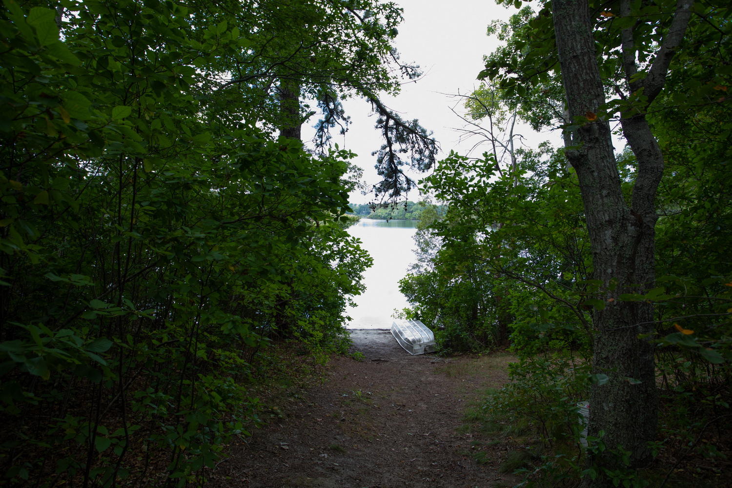 104 Goose Point Road Centerville, MA 02601 - Photo 4 of 41 a view of lake from a yard