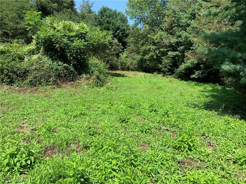 50 Country Road Jewett, OH 43986 - Photo 2 of 10 Gallery Image 2