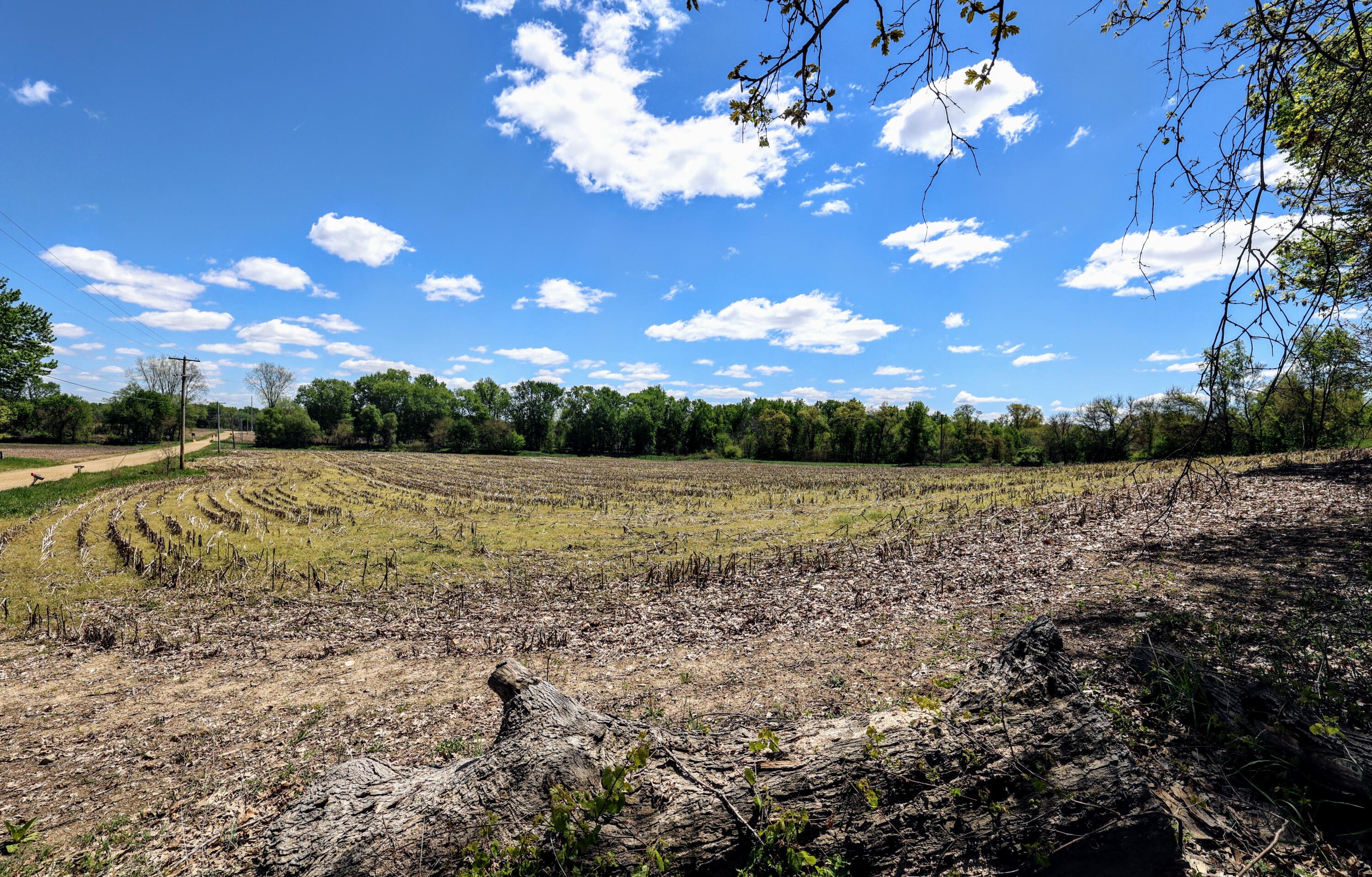 8 1/2 8 1/2 Mile Road Burlington, MI 49029 - Photo 7 of 55 7