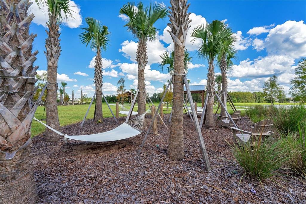 11827 Philosophy Way Orlando, FL 32832 - Photo 84 of 87