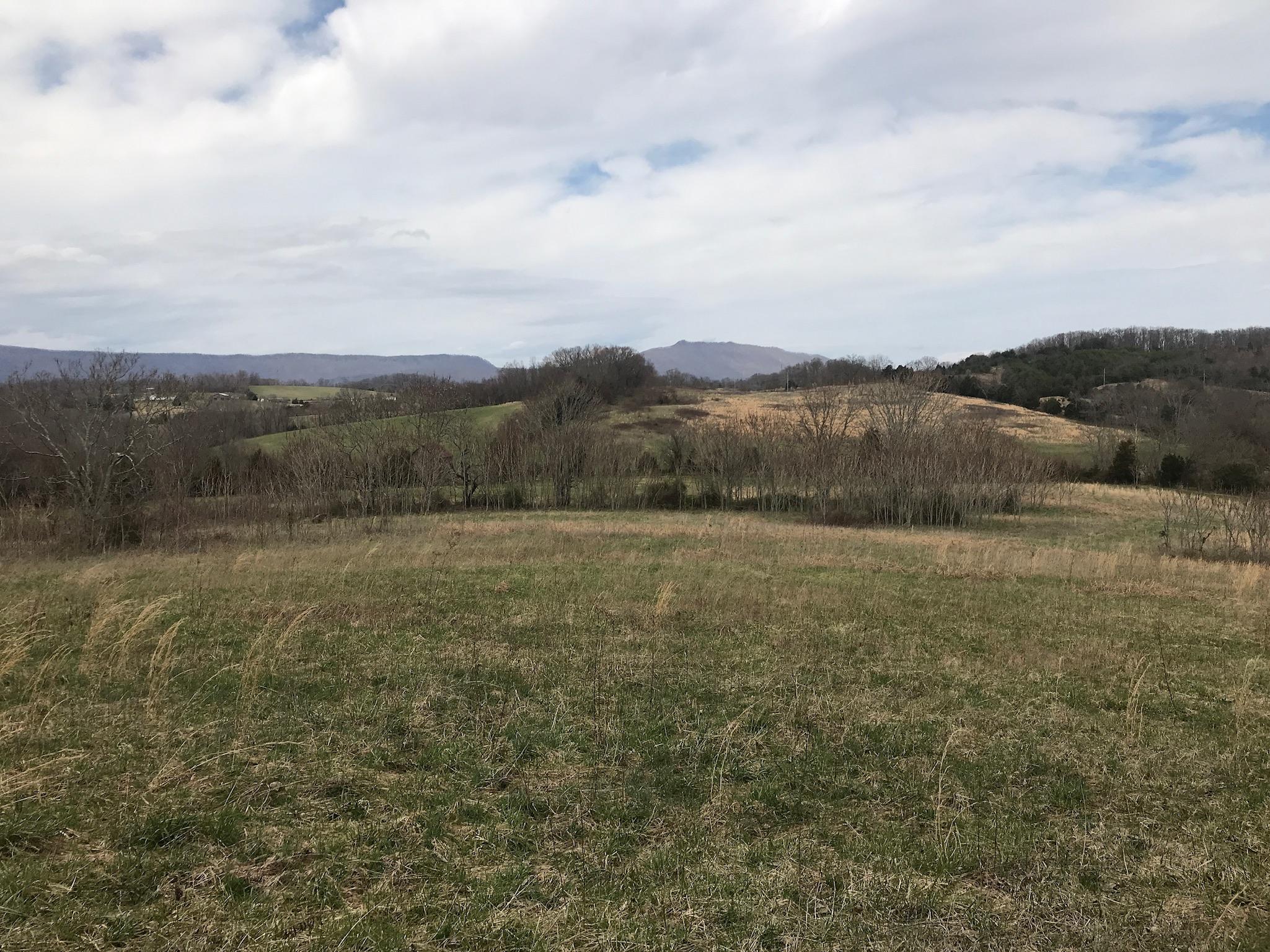 Stewart Road Limestone, TN 37681 - Photo 2 of 26 IMG_0003