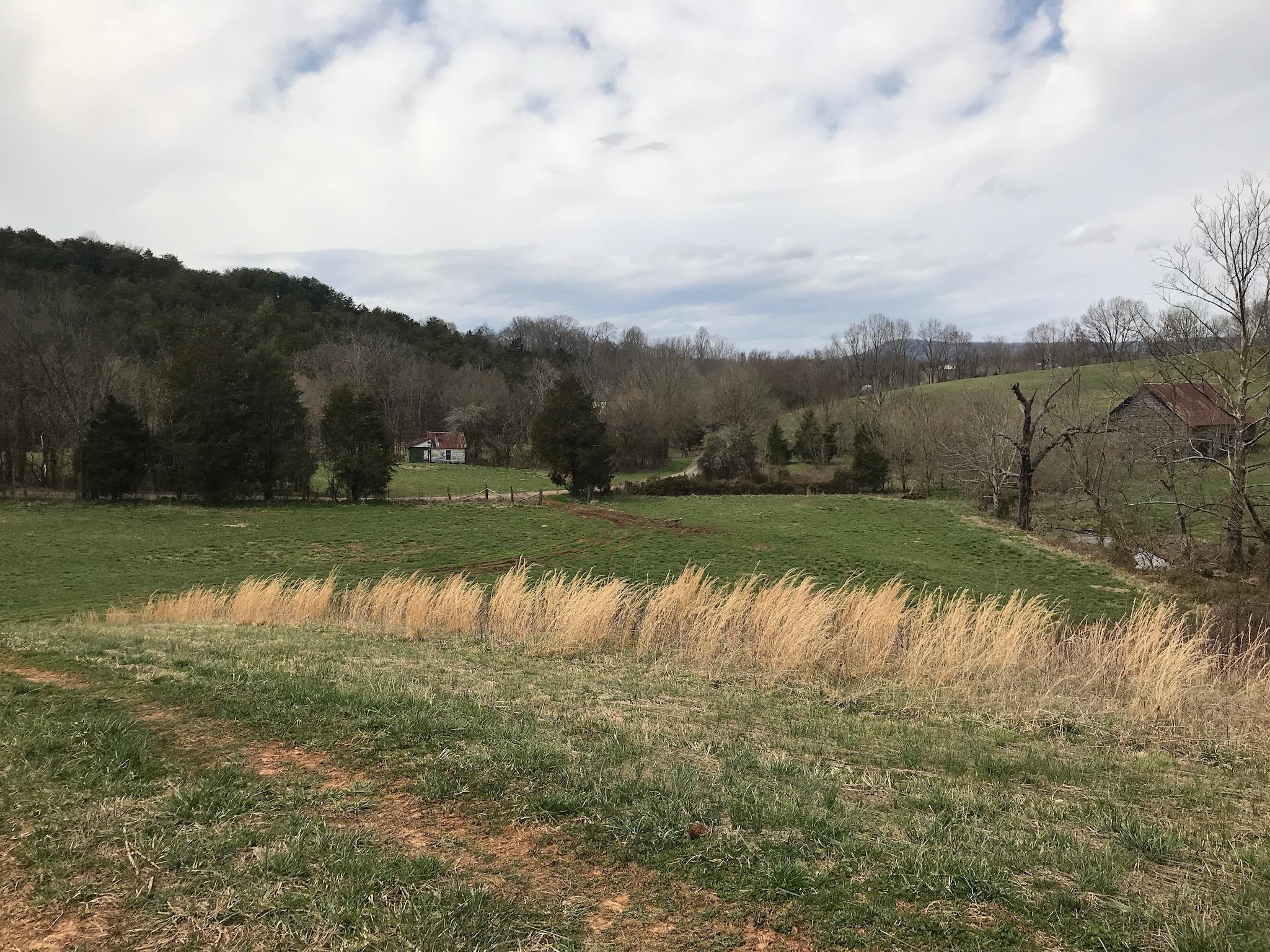 Stewart Road Limestone, TN 37681 - Photo 11 of 26 IMG_0021