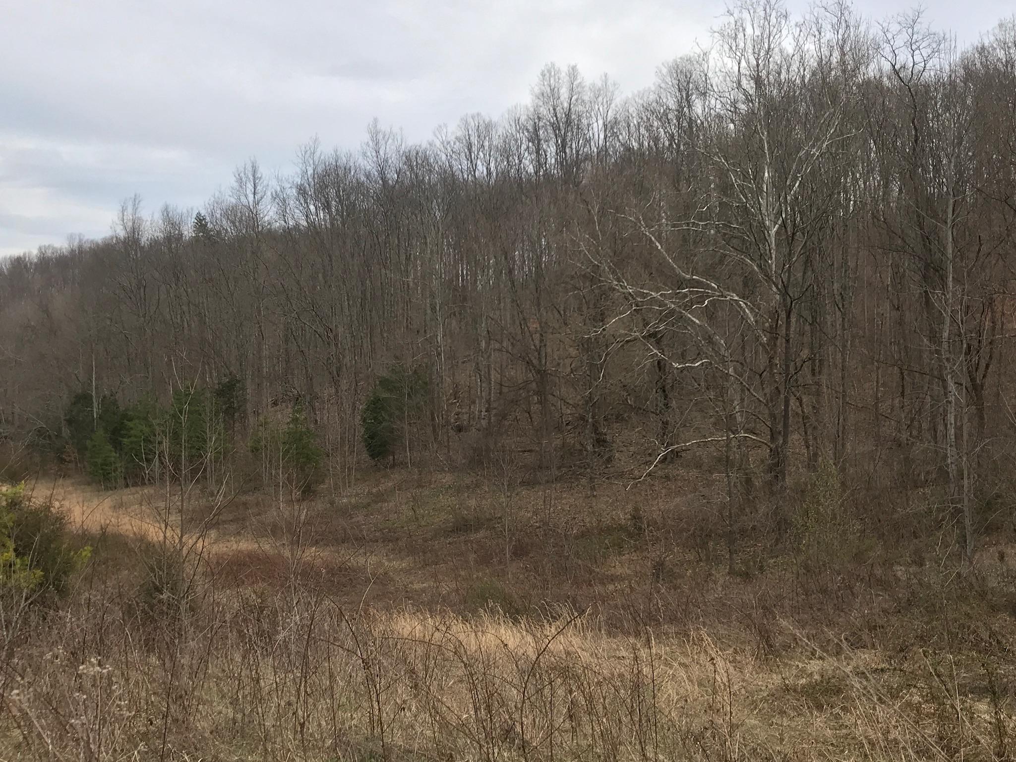 Stewart Road Limestone, TN 37681 - Photo 12 of 26 IMG_0023