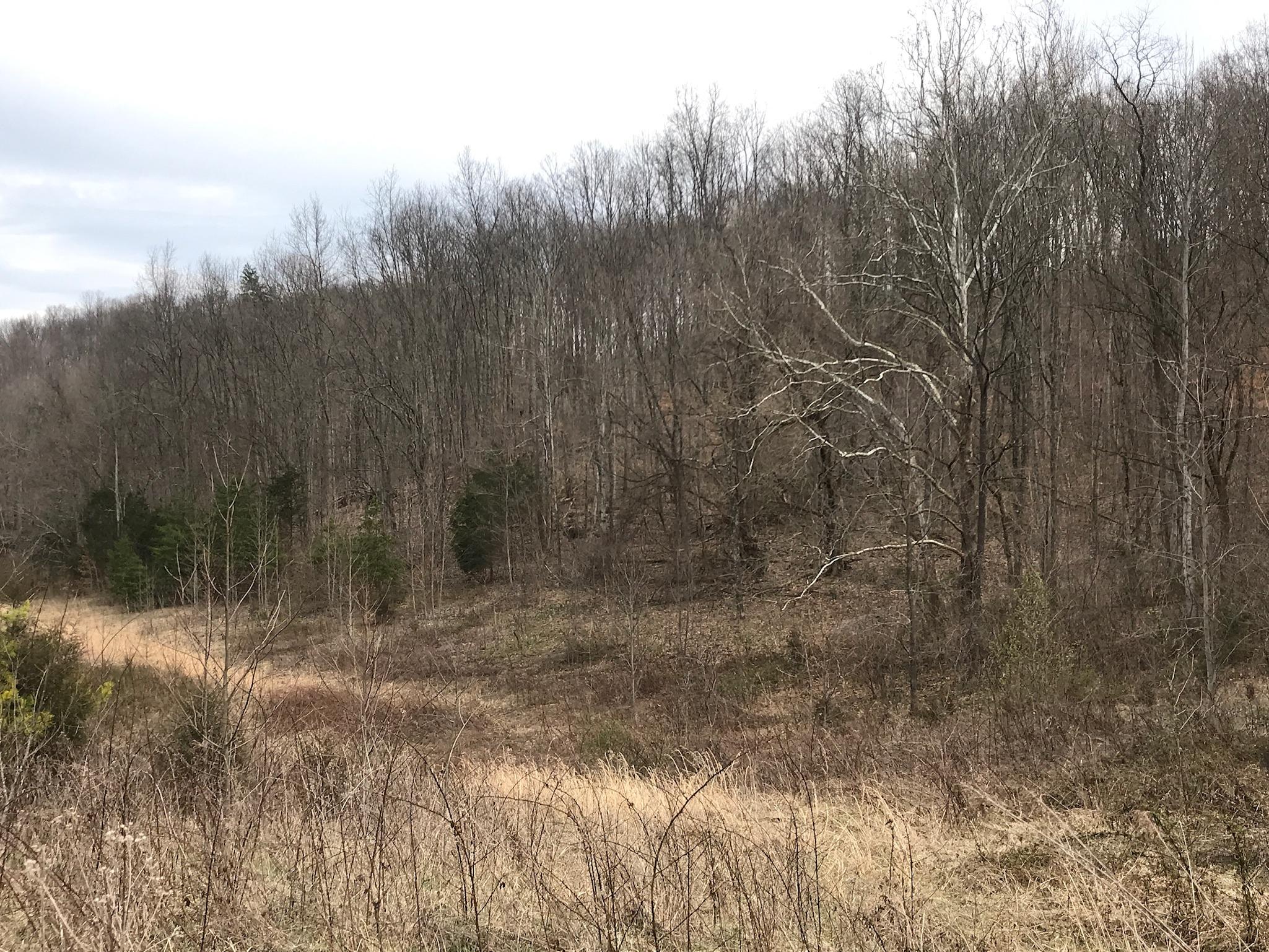 Stewart Road Limestone, TN 37681 - Photo 15 of 26 IMG_0028