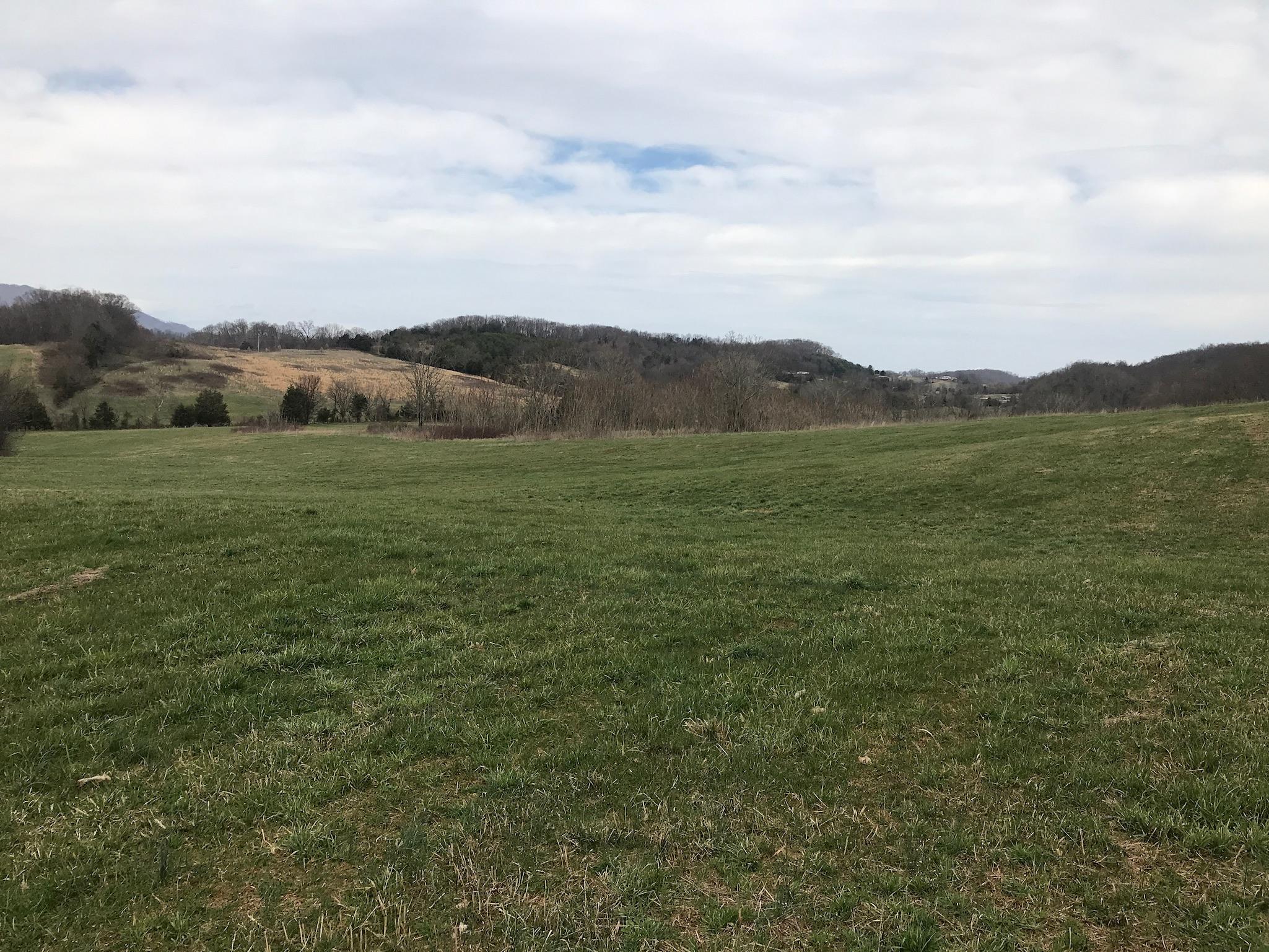 Stewart Road Limestone, TN 37681 - Photo 16 of 26 IMG_0032