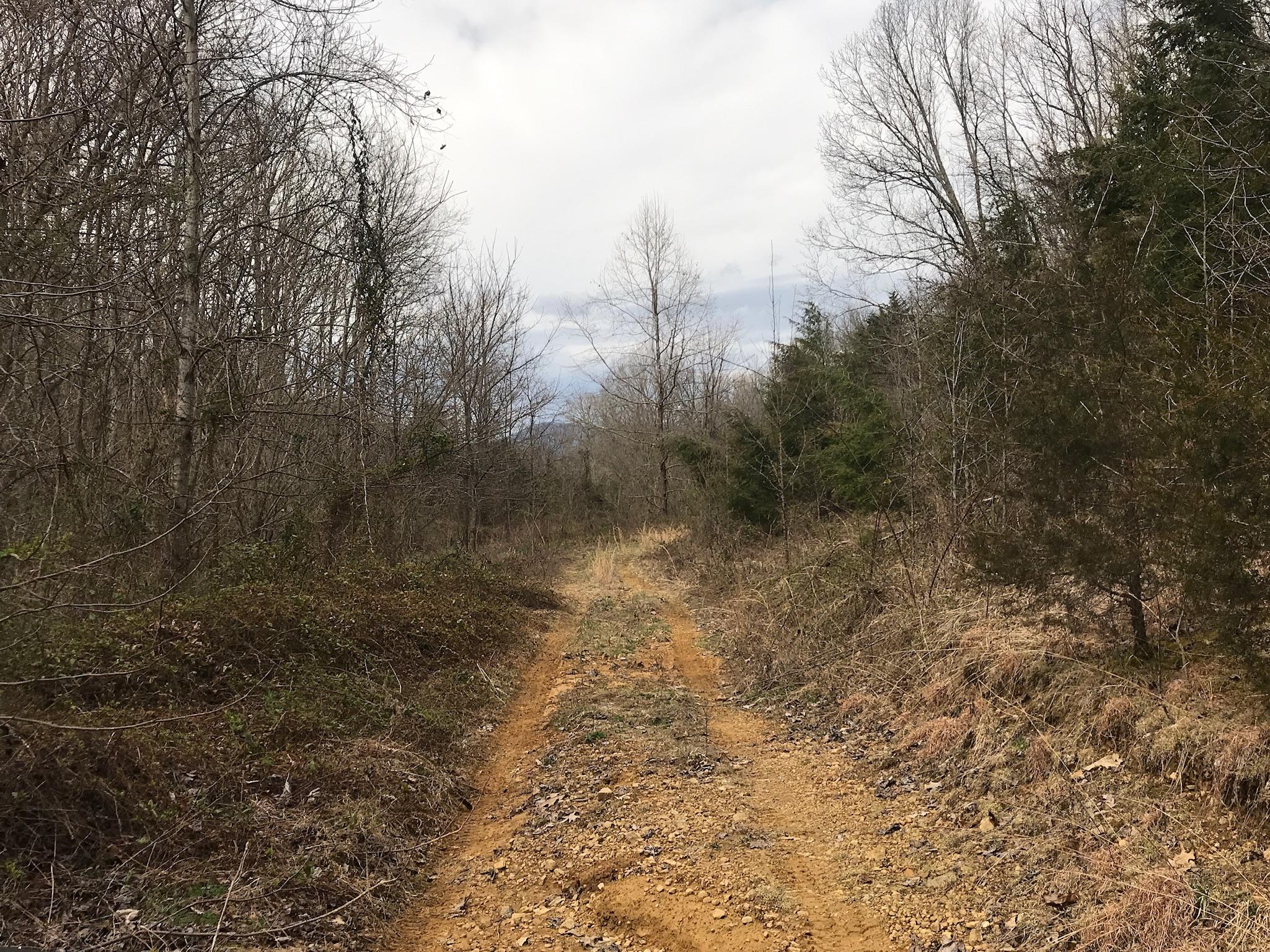 Stewart Road Limestone, TN 37681 - Photo 18 of 26 IMG_0049