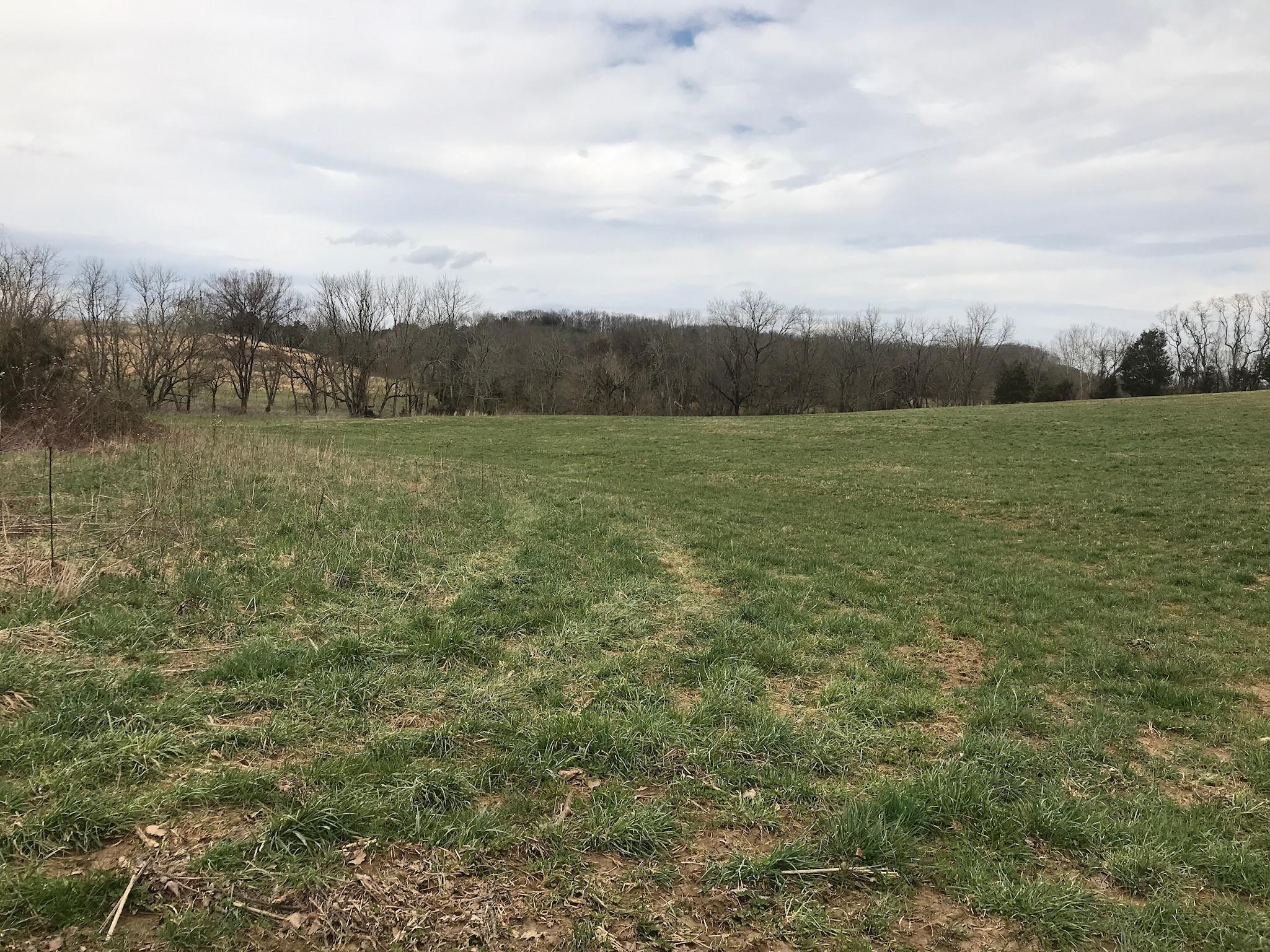 Stewart Road Limestone, TN 37681 - Photo 19 of 26 IMG_0051