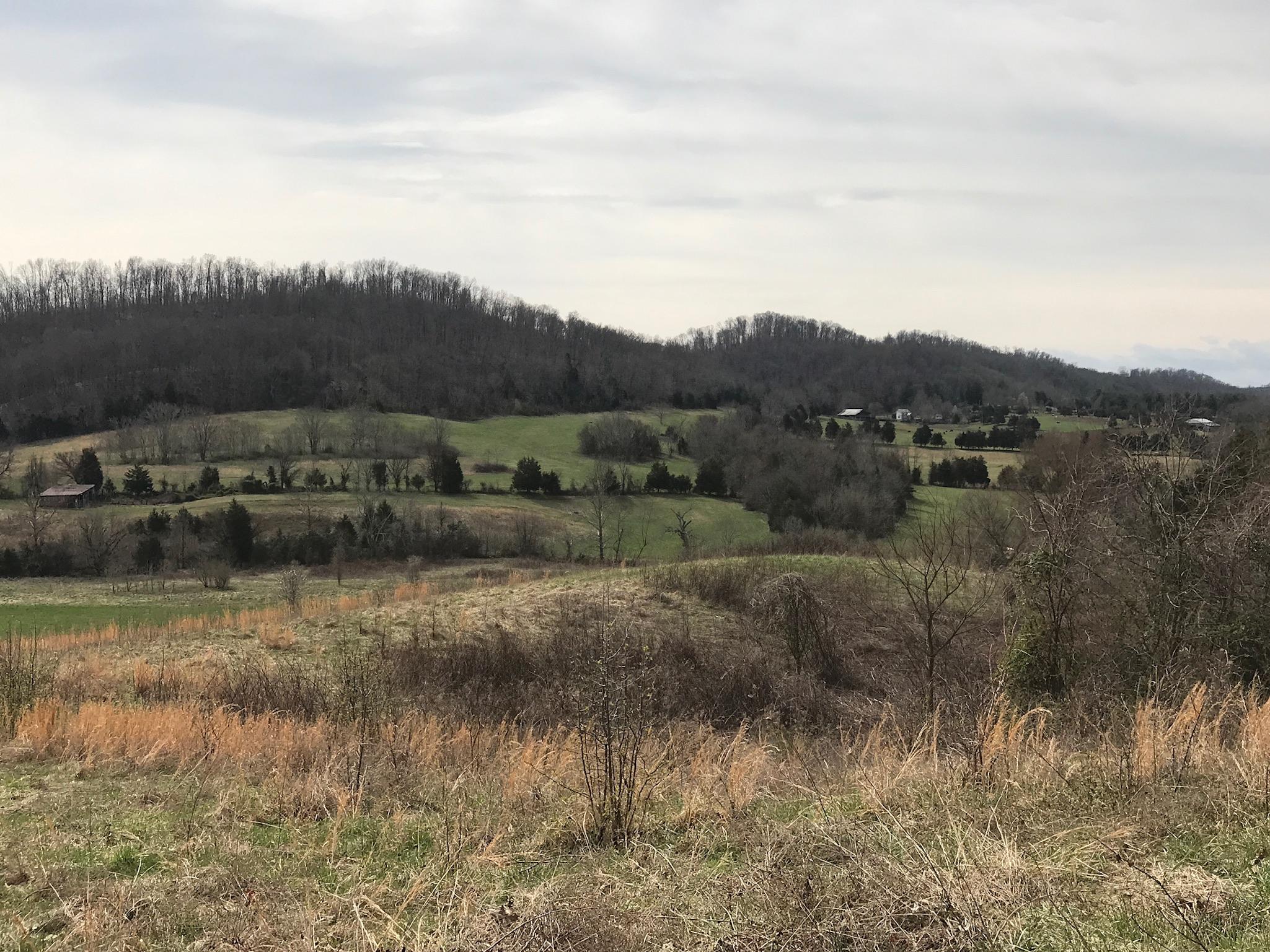 Stewart Road Limestone, TN 37681 - Photo 20 of 26 IMG_0052