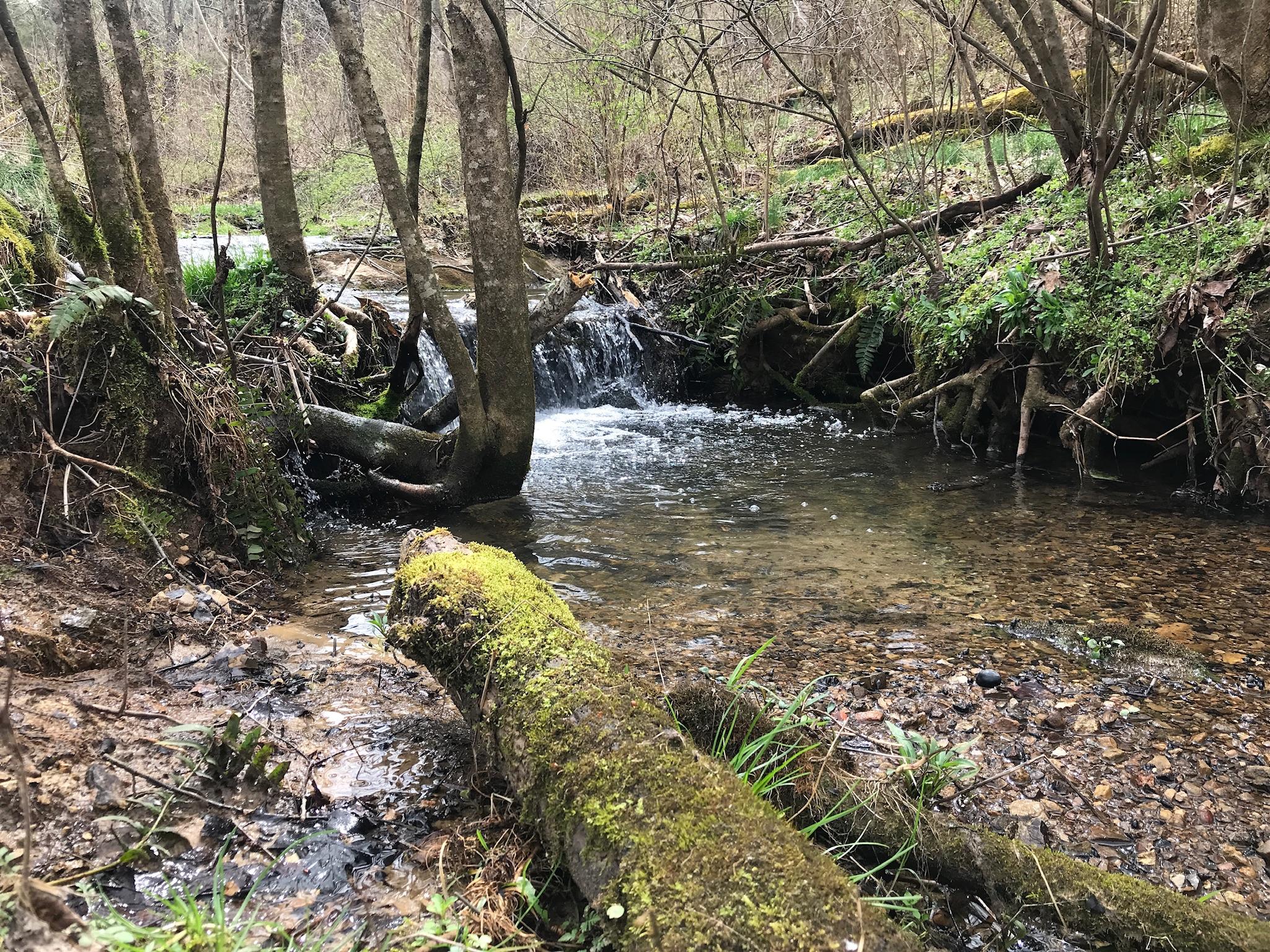 Stewart Road Limestone, TN 37681 - Photo 21 of 26 IMG_0055