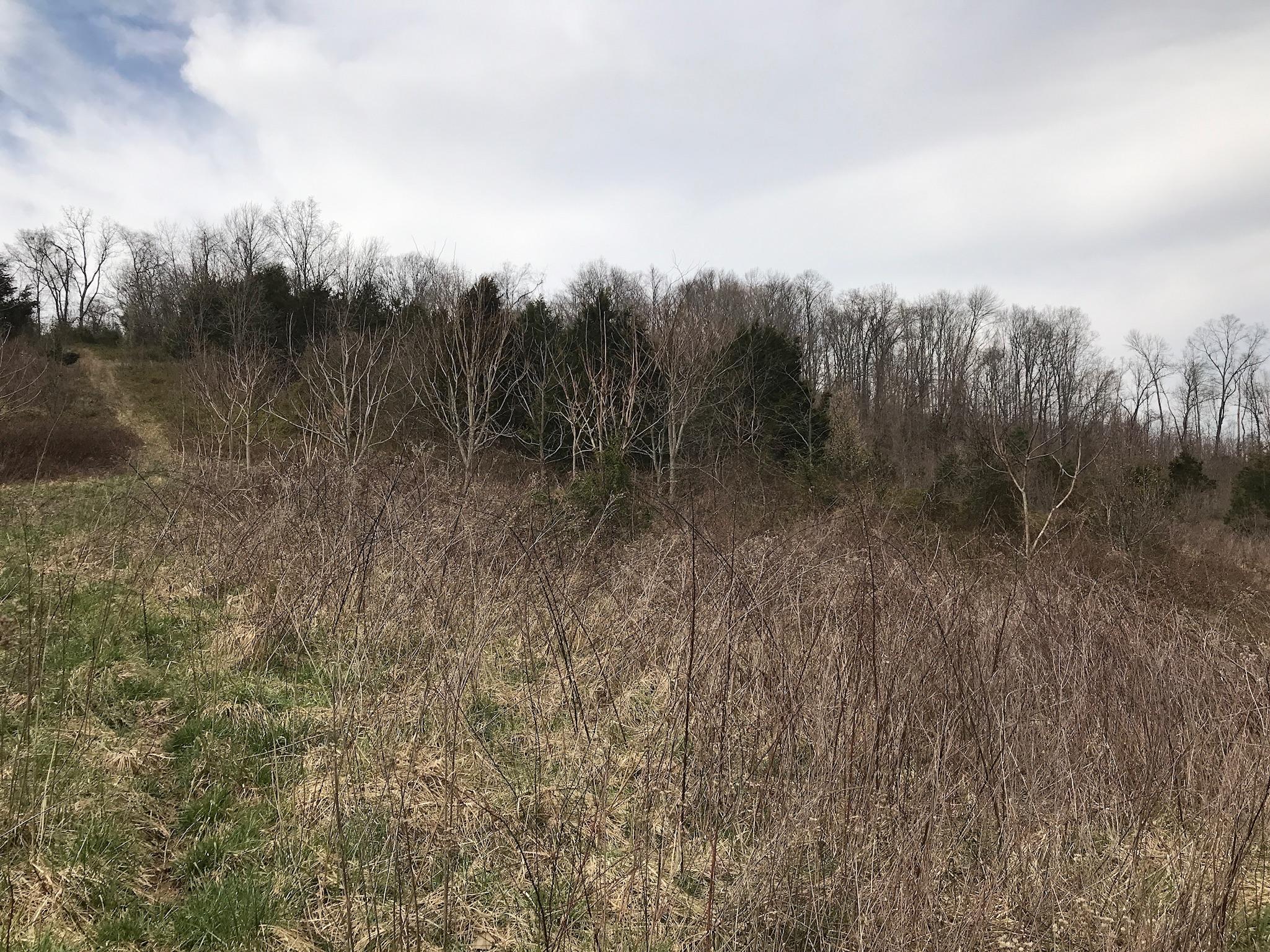 Stewart Road Limestone, TN 37681 - Photo 22 of 26 IMG_0054