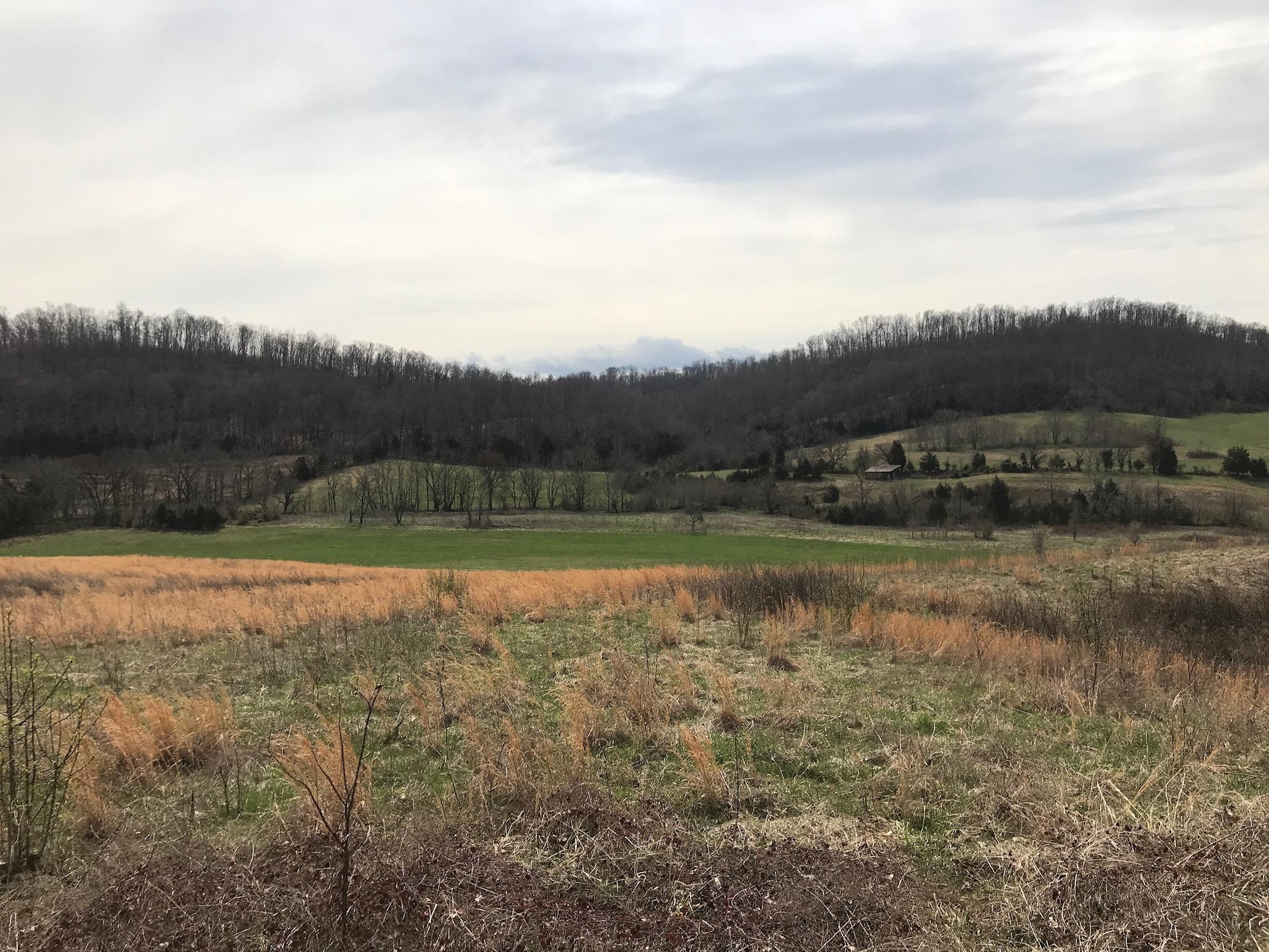 Stewart Road Limestone, TN 37681 - Photo 23 of 26 IMG_0056