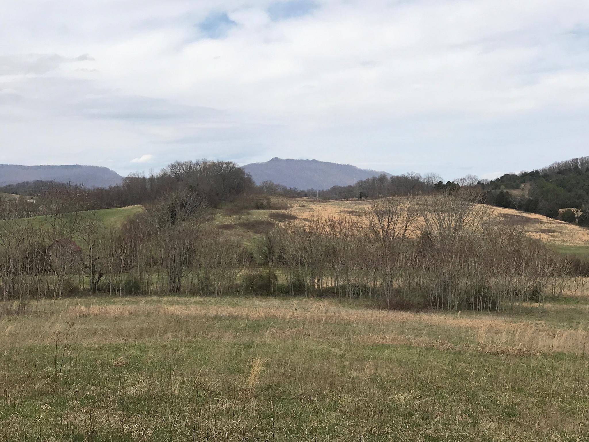 Stewart Road Limestone, TN 37681 - Photo 24 of 26 IMG_0060