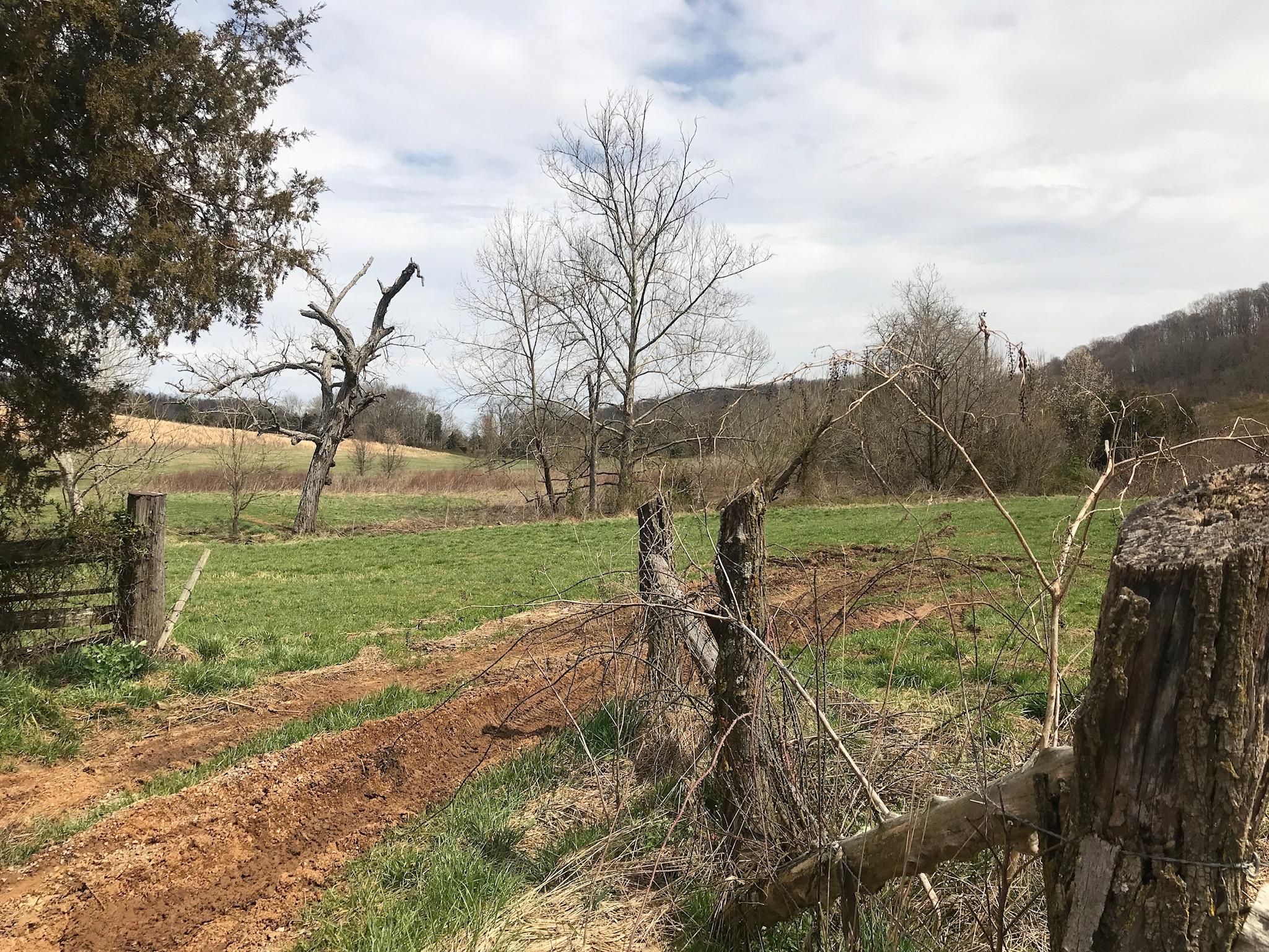 Stewart Road Limestone, TN 37681 - Photo 25 of 26 IMG_0067