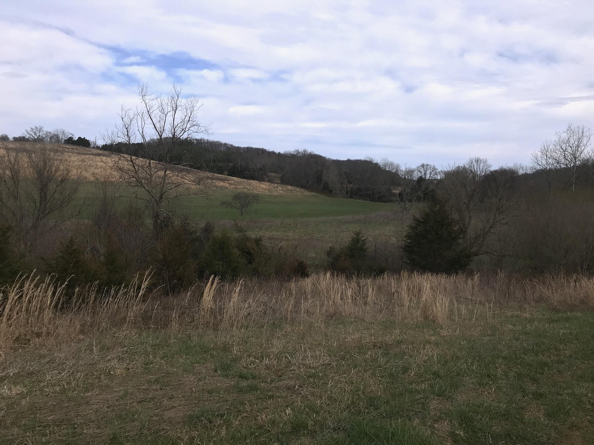 Stewart Road Limestone, TN 37681 - Photo 26 of 26 IMG_0081