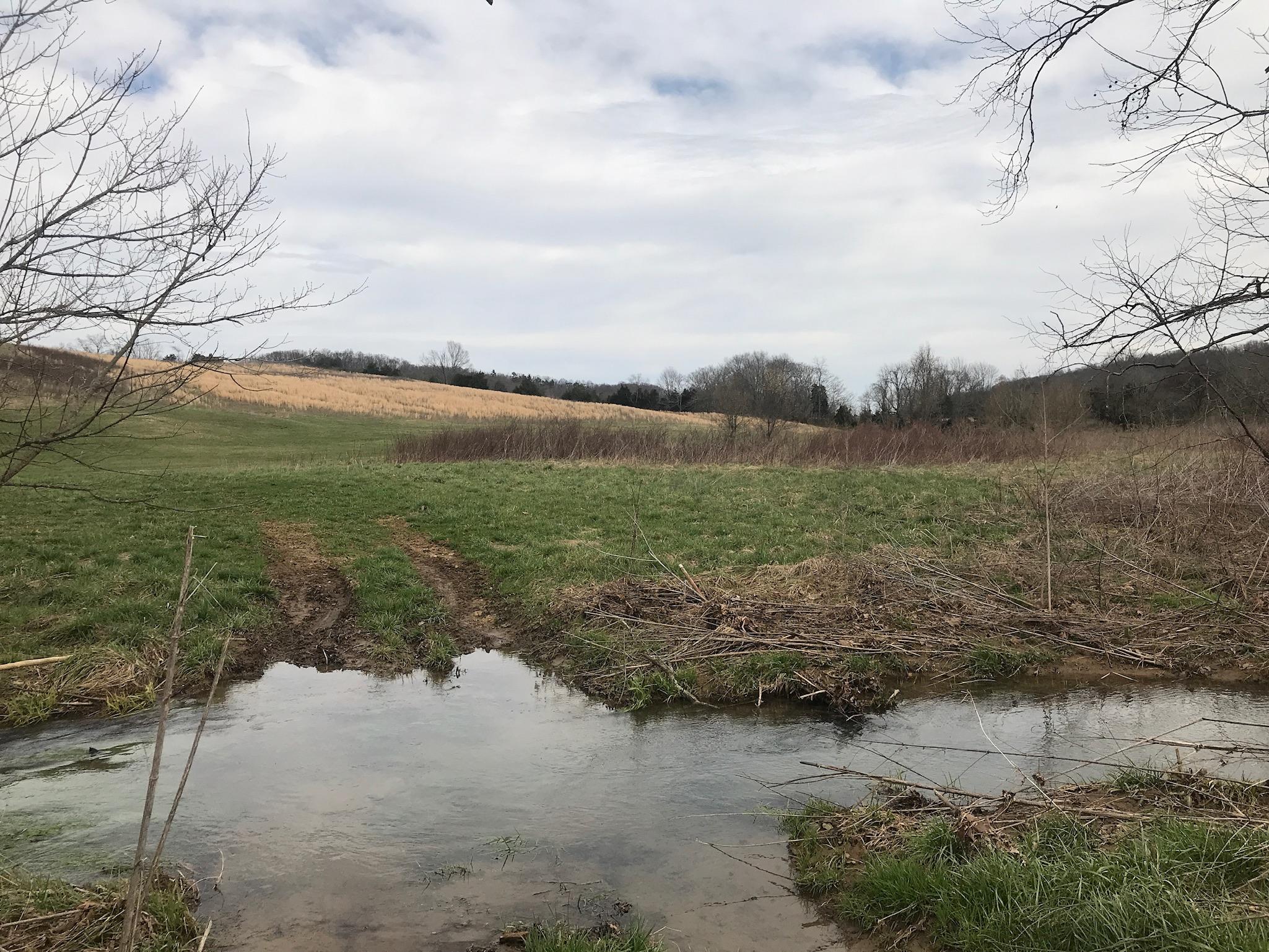 Stewart Road Limestone, TN 37681 - Photo 5 of 26 IMG_0009