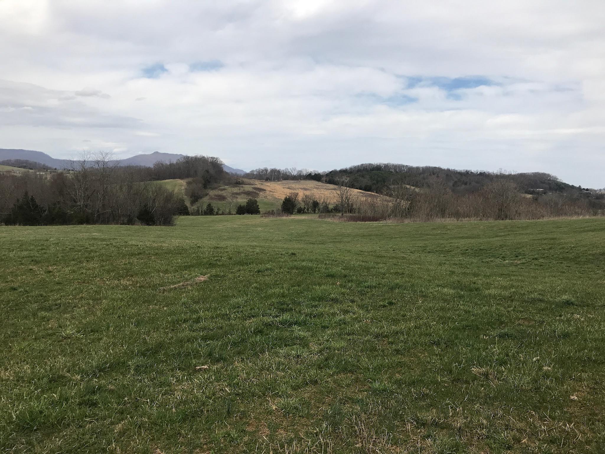 Stewart Road Limestone, TN 37681 - Photo 6 of 26 IMG_0011