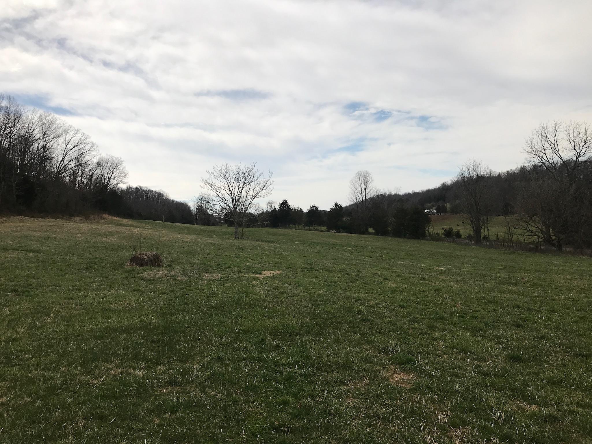 Stewart Road Limestone, TN 37681 - Photo 7 of 26 IMG_0014