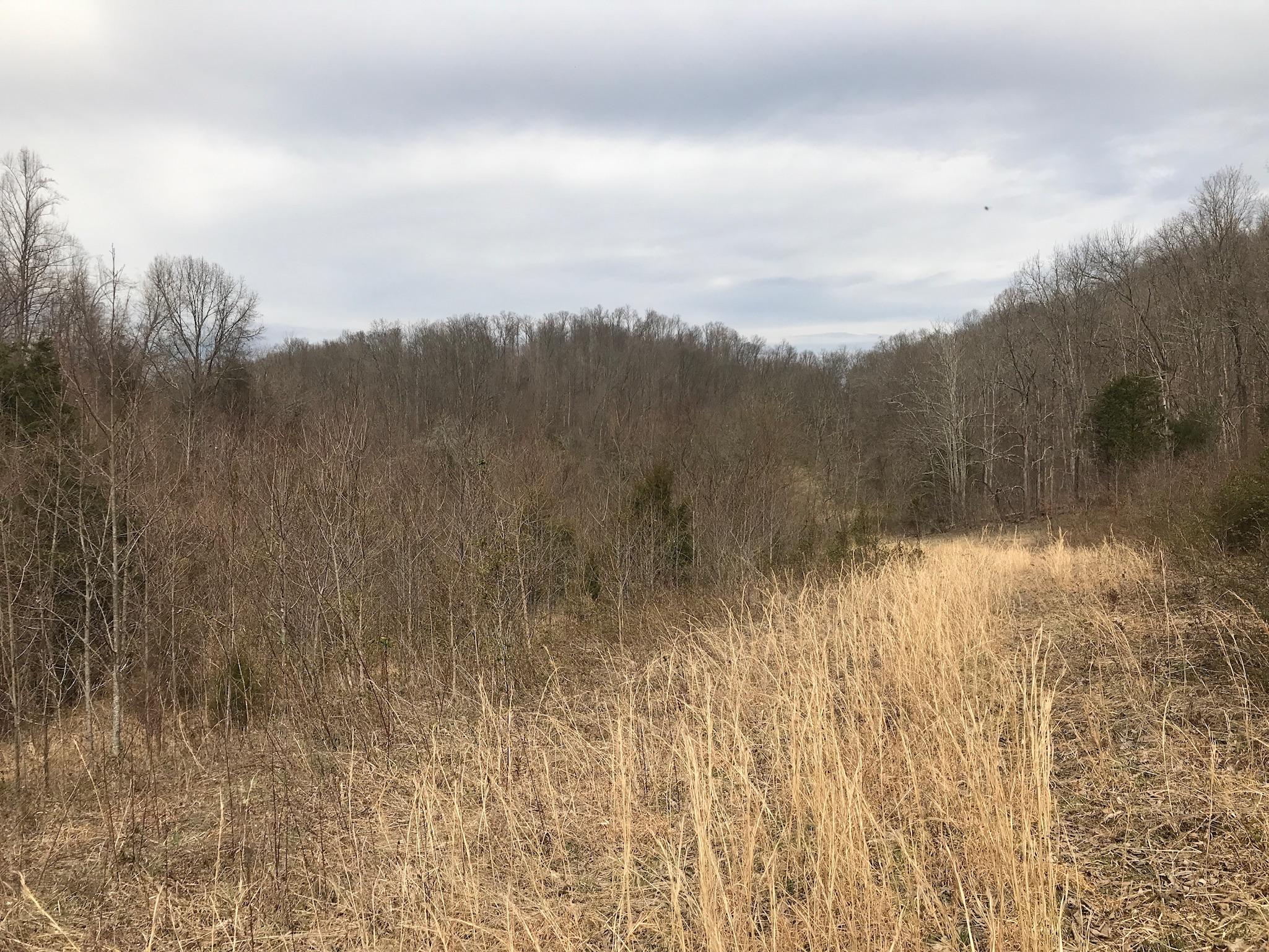 Stewart Road Limestone, TN 37681 - Photo 10 of 26 IMG_0020