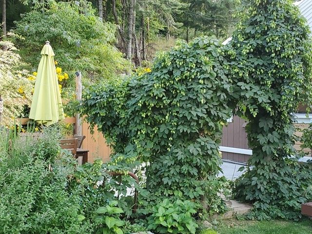 1602 Thompson Road Elk, WA 99009 - Photo 33 of 49 Gallery Image 33