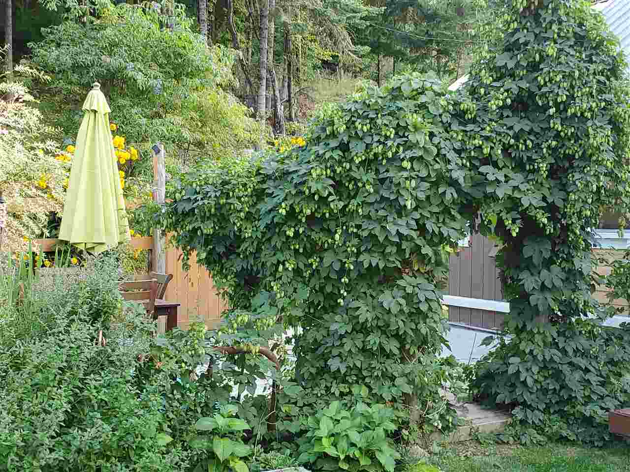 1602 Thompson Road Elk, WA 99009 - Photo 42 of 49 Gallery Image 42