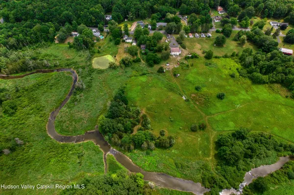 a view of a yard with plants