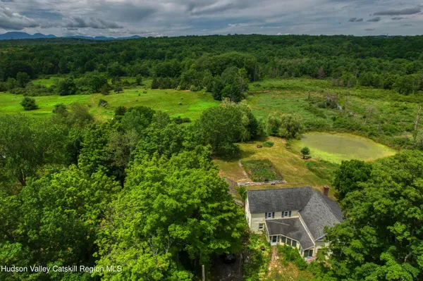 a view of a garden with plants