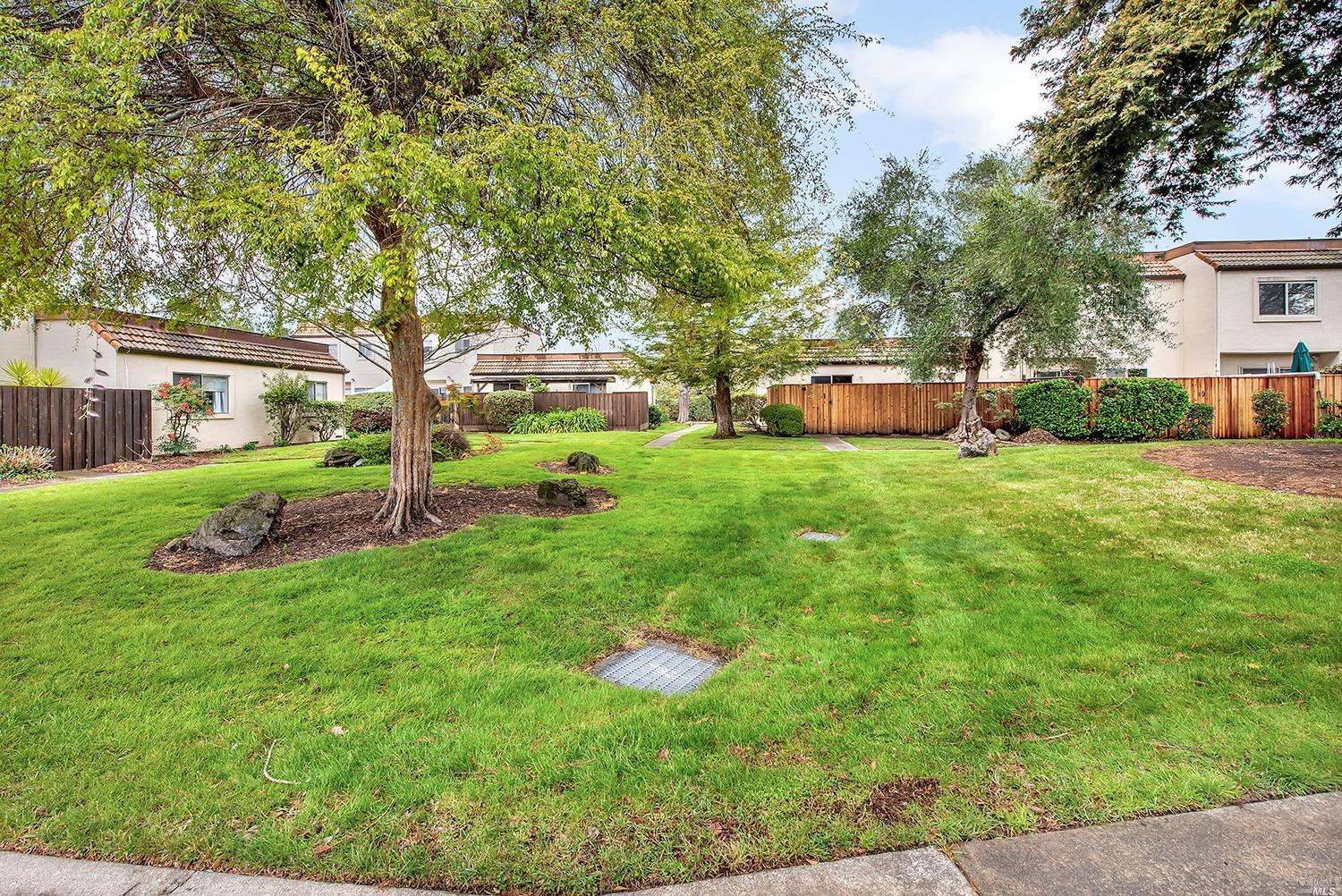a view of backyard with a garden and trees